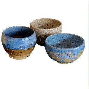 Berry Bowl