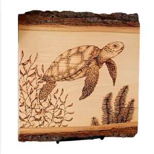 Sea Turtle