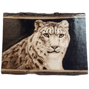 Snow Leopard