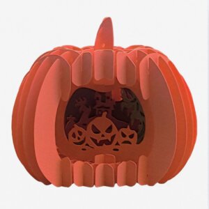 Pumpkin (Jack O’Lantern)