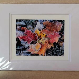 First Frost