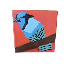 Bird Blue Jay