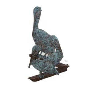 Pelican