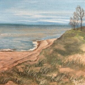 Terry Andrae Beach